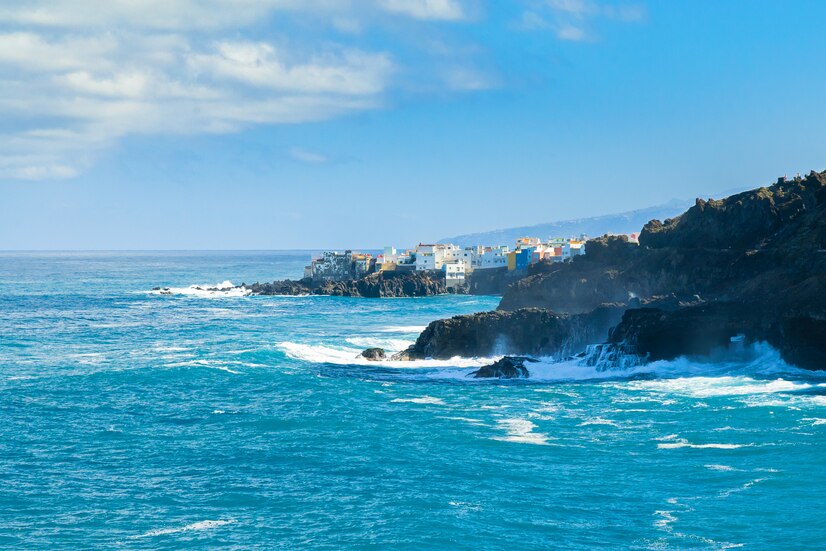 Mi estancia en las Islas Canarias – Un blog de observación